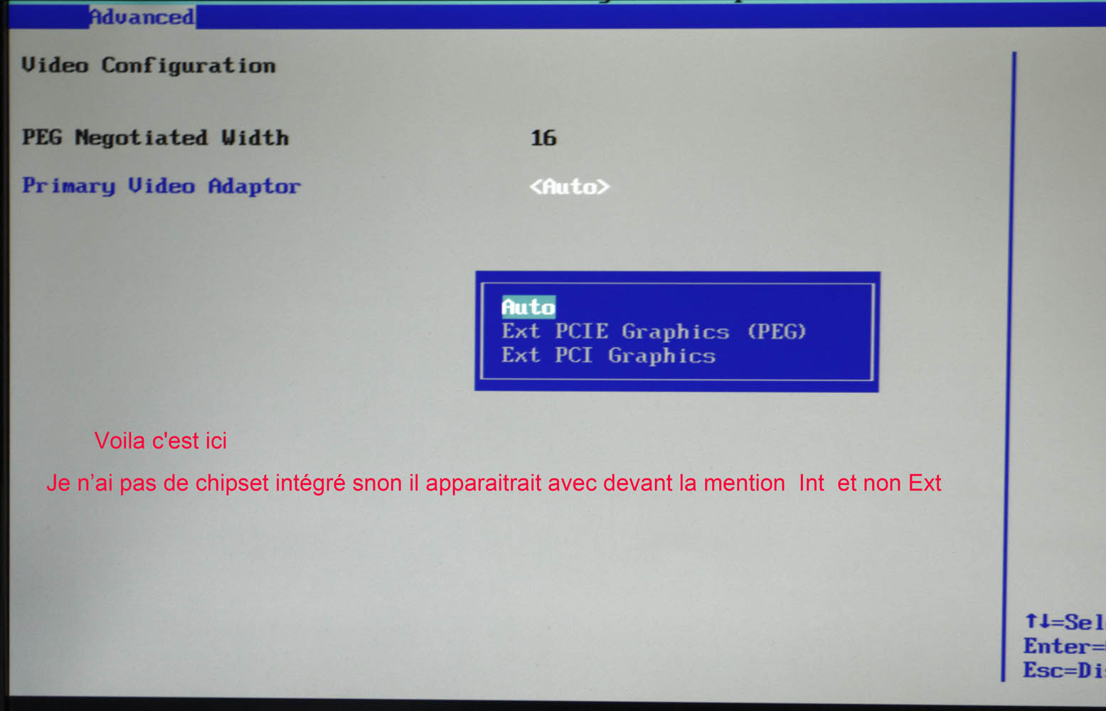 Bios.jpg