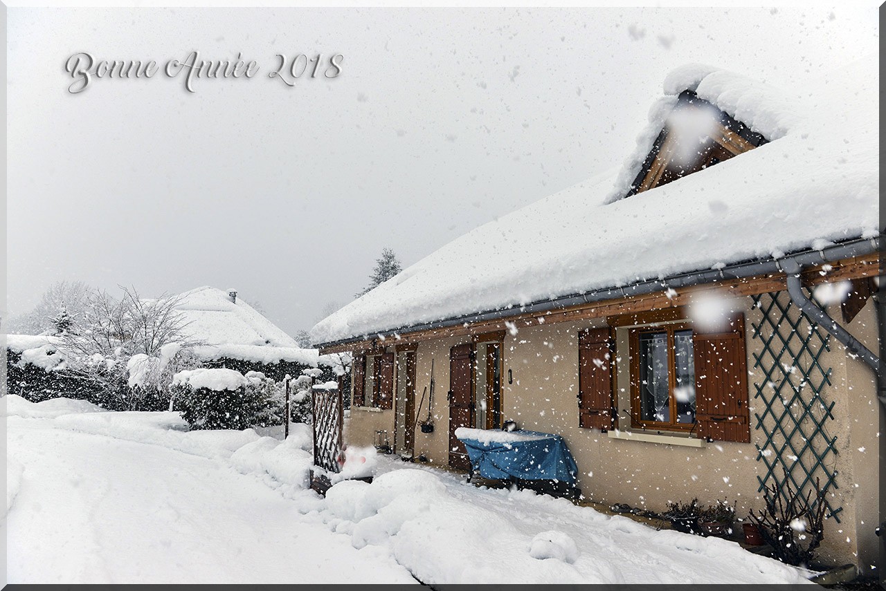 bonne année 2018.jpg