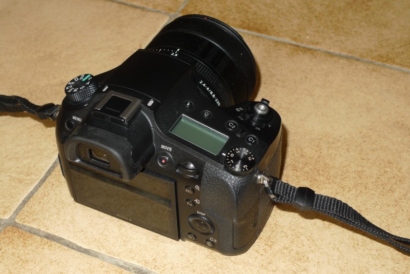 P1040722_01.JPG