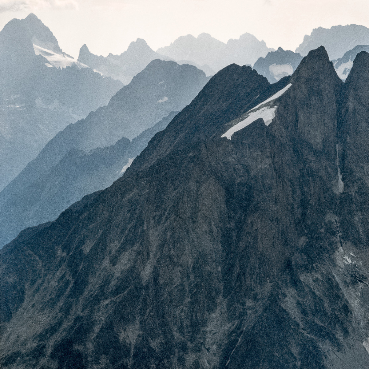 Oisans 0022 Muzelle.jpg