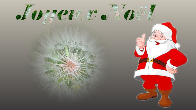 Noël 04.jpg