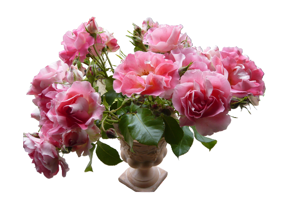 bouquet de jardin.png