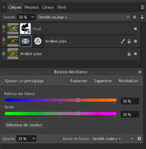 Capture d’écran calques.jpg
