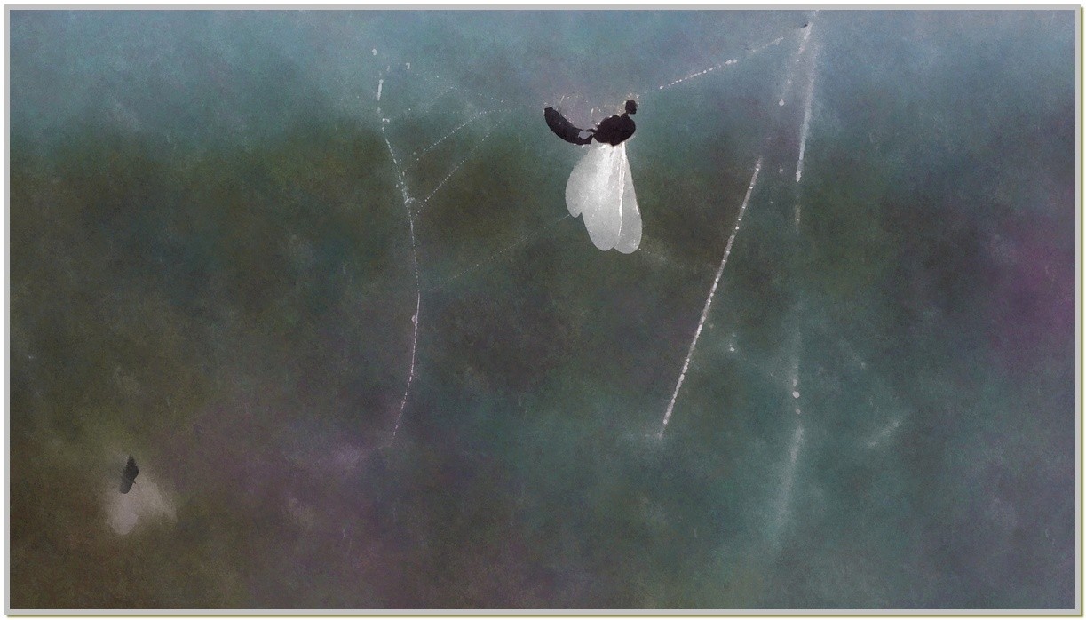 a vpoir ou pas 2.jpg