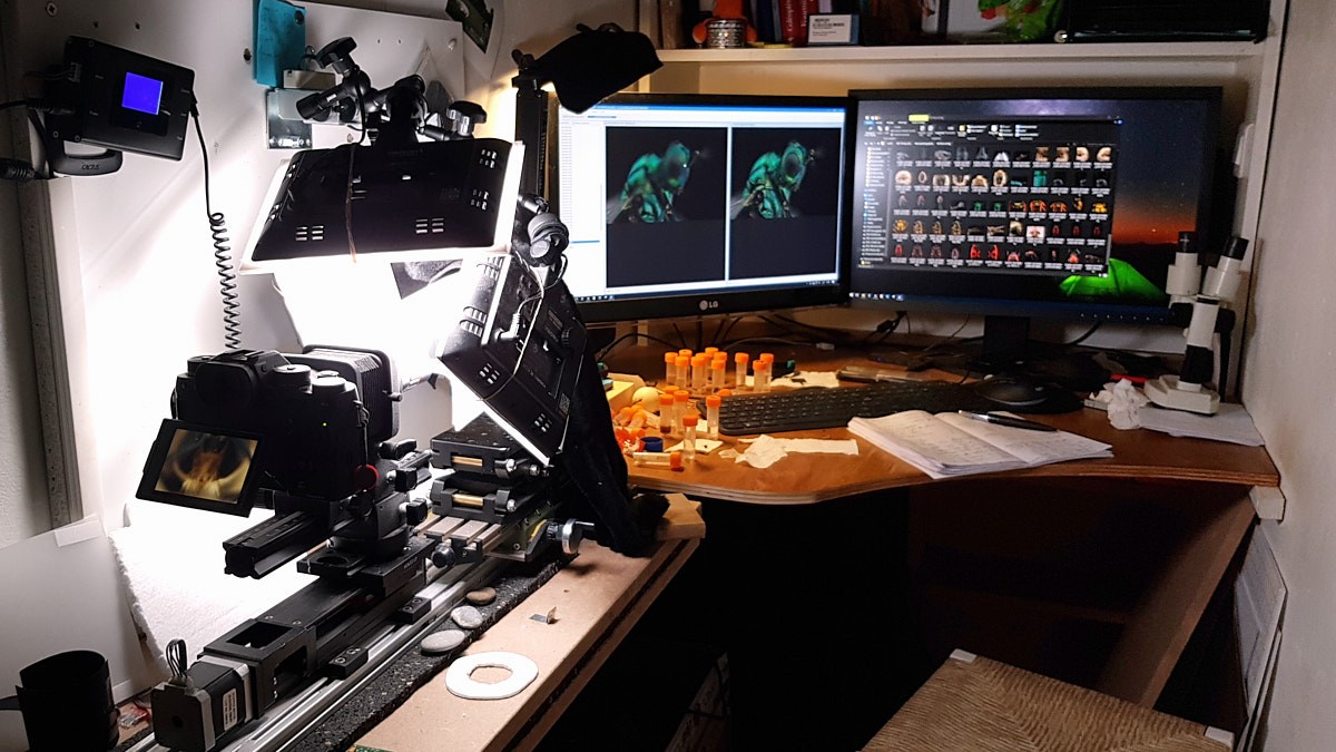 micro-studio-2.jpg