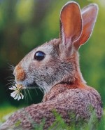 Extrait info journal Fondation Brigitte Bardot.jpg