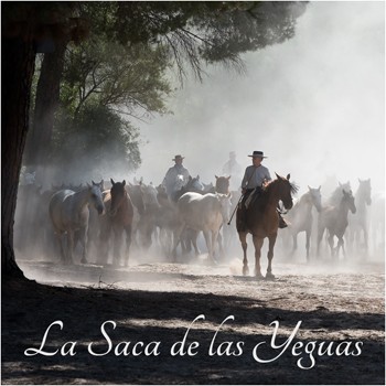 La Saca de las Yeguas.jpg