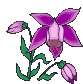 :orchid: