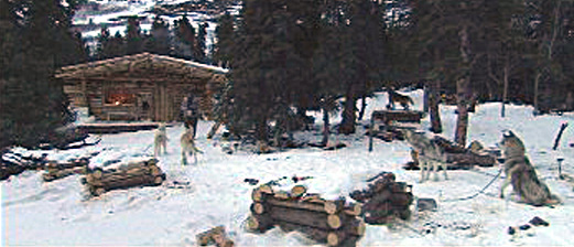 cabane.jpg