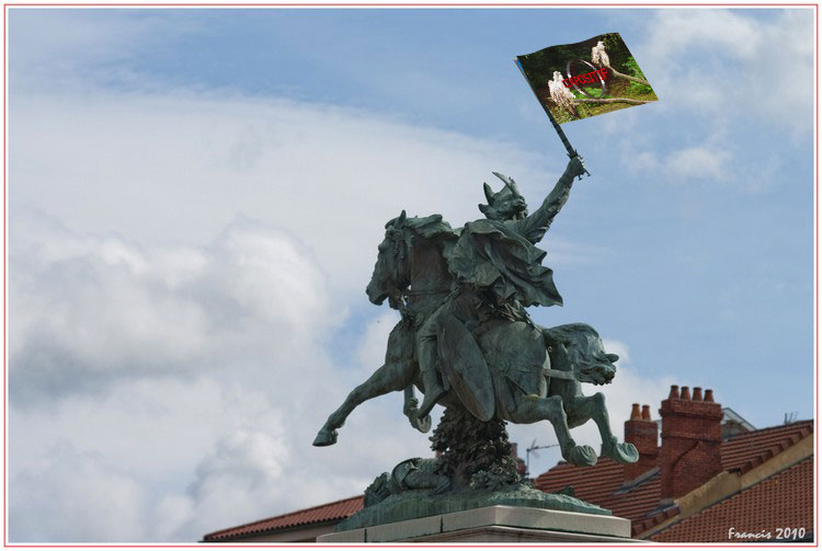 df__1675bis.jpg