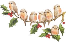 Petits oiseaux.jpg