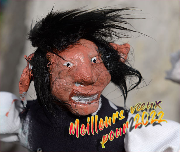 voeux-gilam.jpg