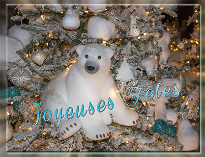 carte ours.jpg