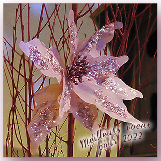 fleur vaux le vicomte.jpg