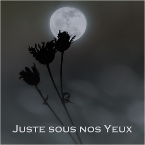 Juste sous nos Yeux.jpg