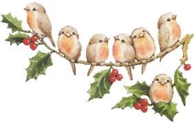 Petits oiseaux.jpg