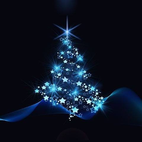 Sapin bleu.jpg