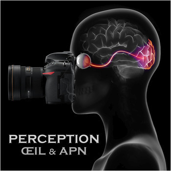 PERCEPTION, ŒIL & APN.jpg