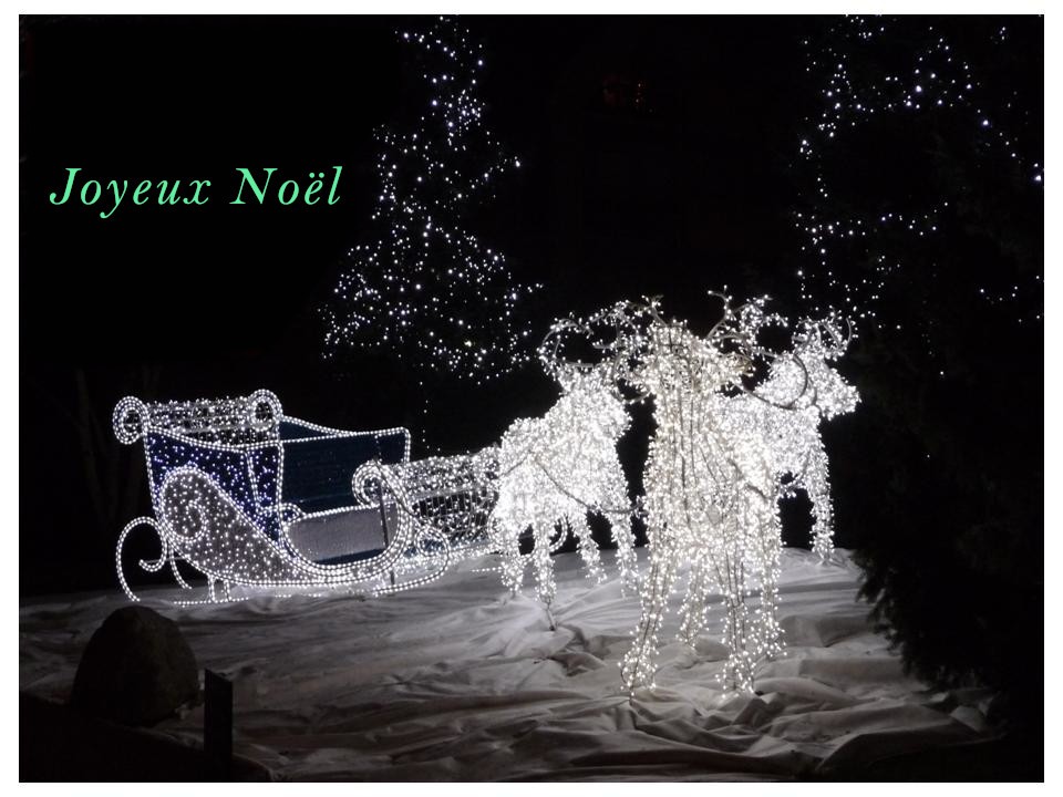 Noël 2023.jpg