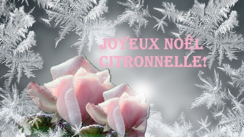 Citronnelle.jpg
