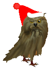 chouette animation.gif