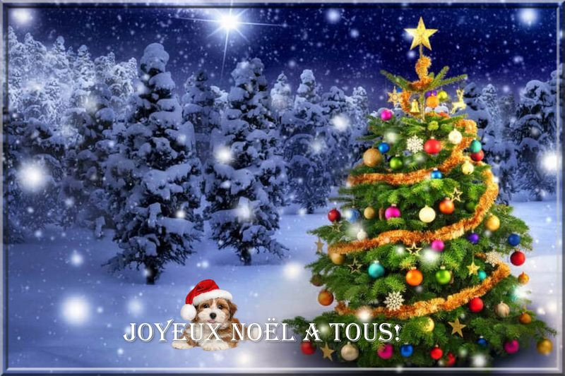 Joyeux Noël.jpg