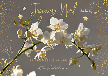 Joyeux Noël JCV.jpg