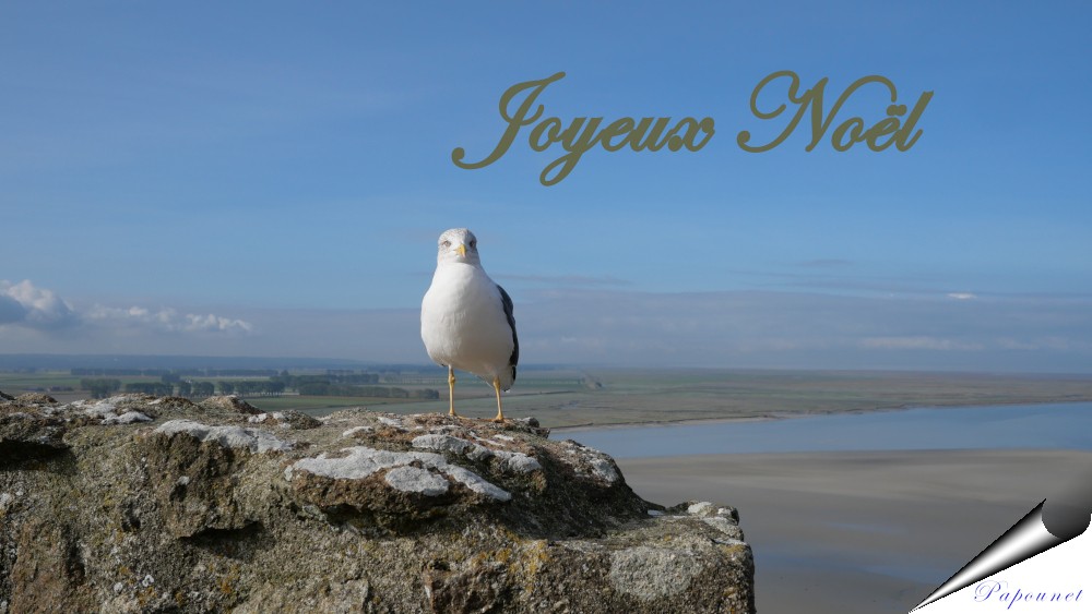 Noël 08.jpg