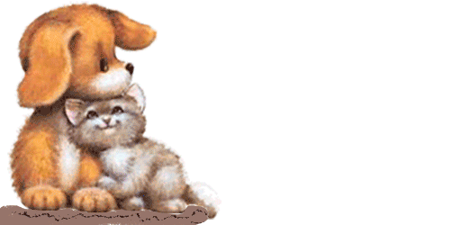 chien-et-chat.gif