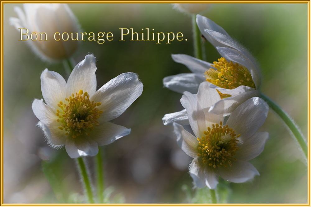 phil59_Z6Z3642.jpg