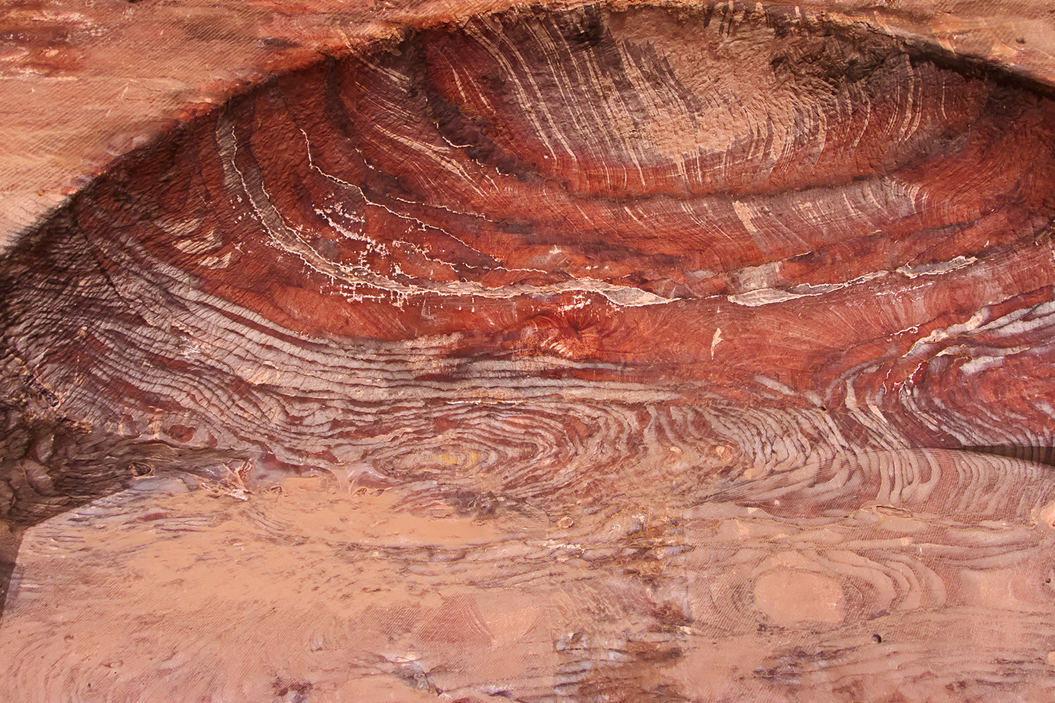 Jordanie_456_17224.jpg