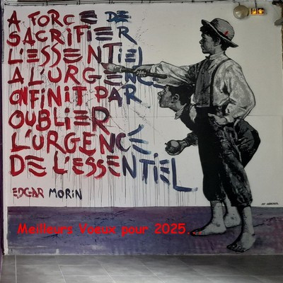 20241016_133930.jpg
