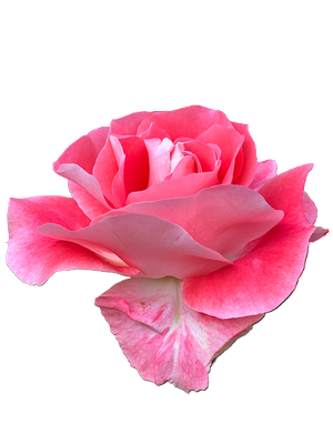Nahéma (2).png