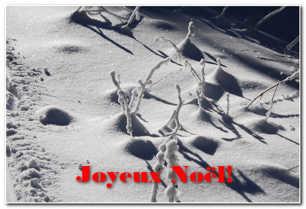 Joyeux Noël Eric!.JPG