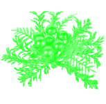 22.png