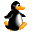 :Pingouin02: